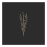 Delicate Fynbos Botanicals in Gold and Black - Square (Print Only) thumbnail