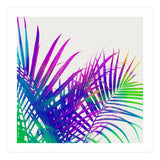 Colorful Palm (Print Only) thumbnail