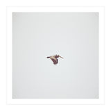 Solo Flight (Print Only) thumbnail