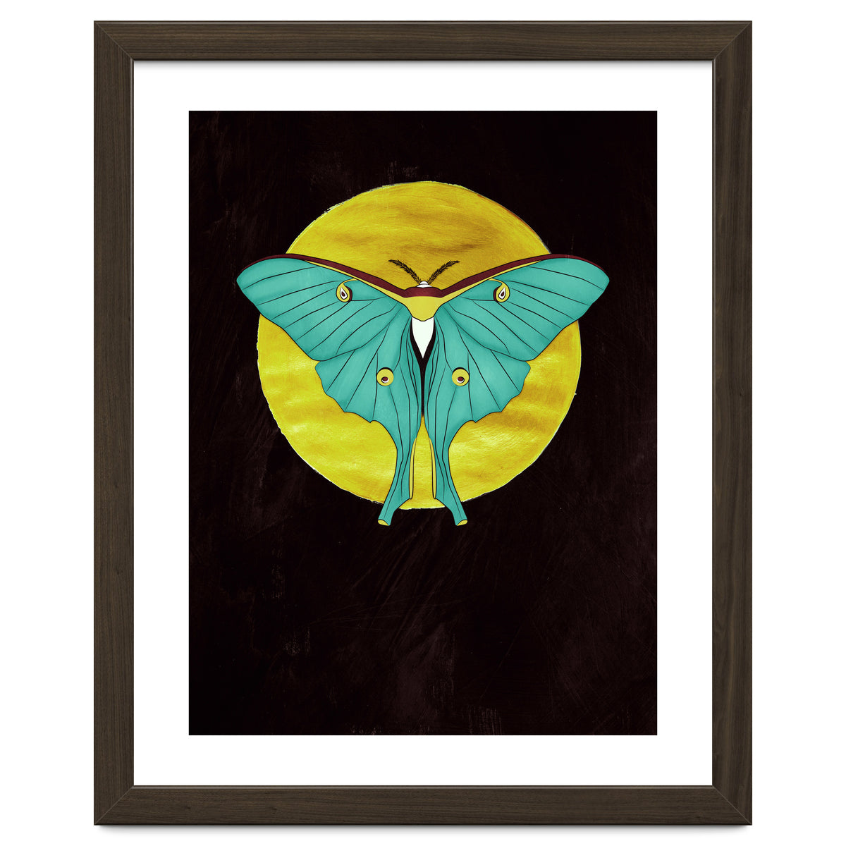 Luna Moth Moon
