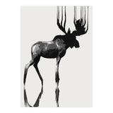Moose  (Print Only) thumbnail
