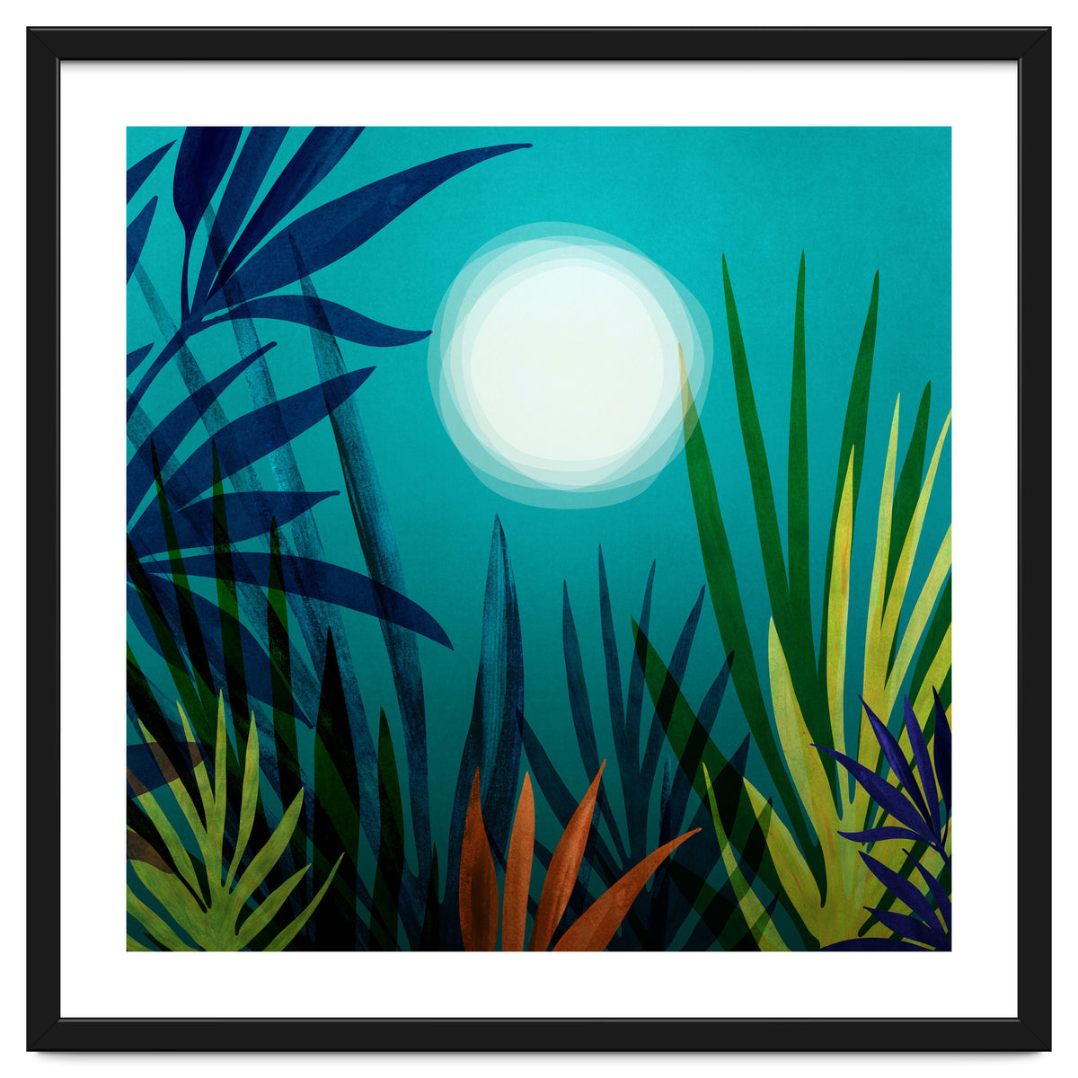 Midnight In The Jungle