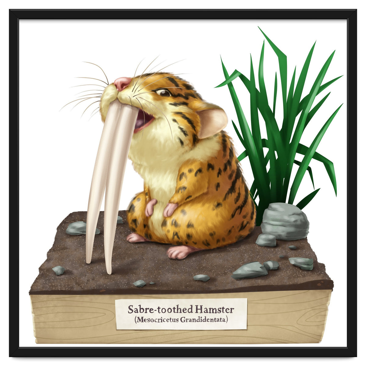 Saber-toothed Hamster