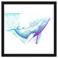 Diving Blue Whale