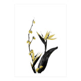 Flower Minimal Black And Gold 02 (Print Only) thumbnail