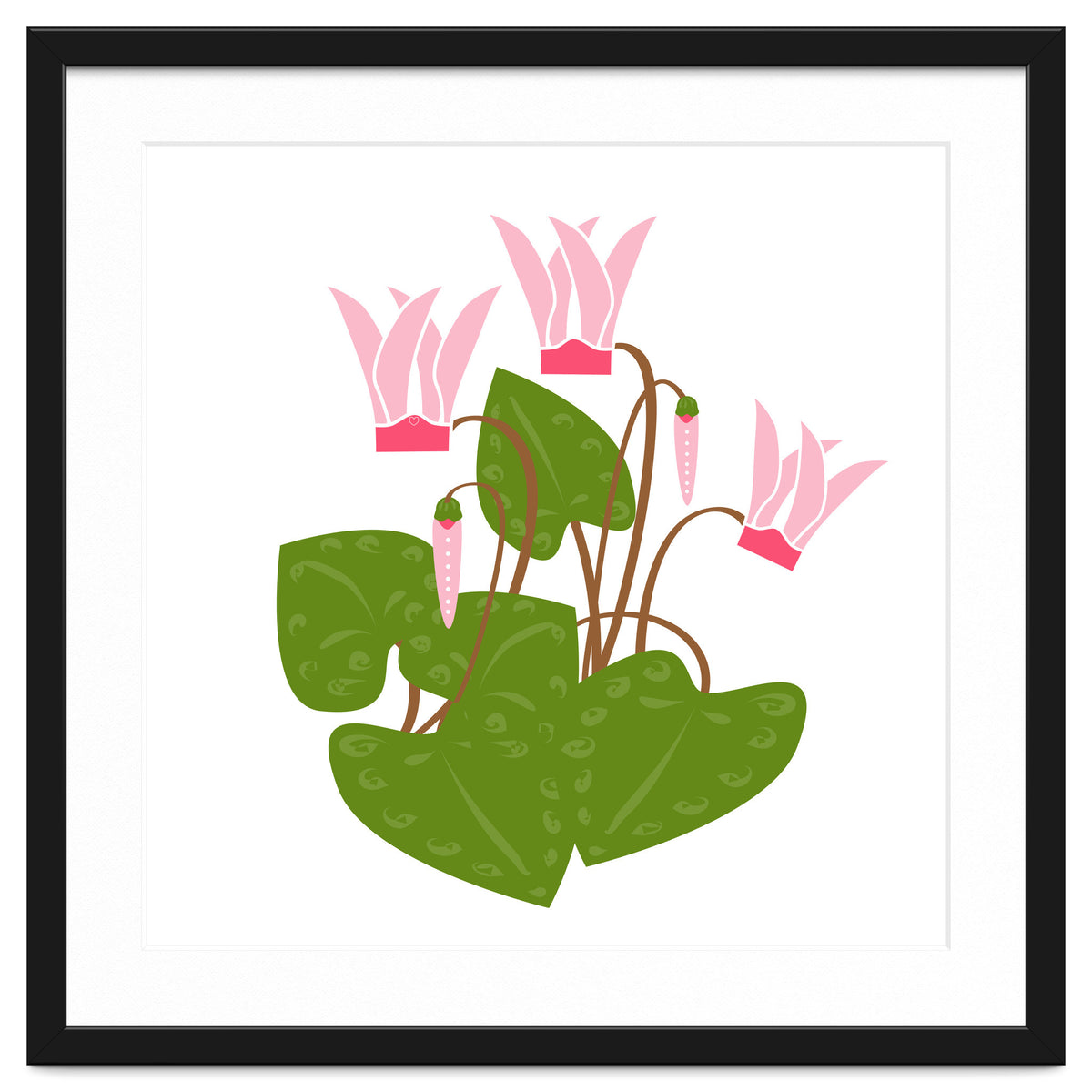 Cascading Cyclamen