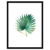 Tropical Palm Leaf 01