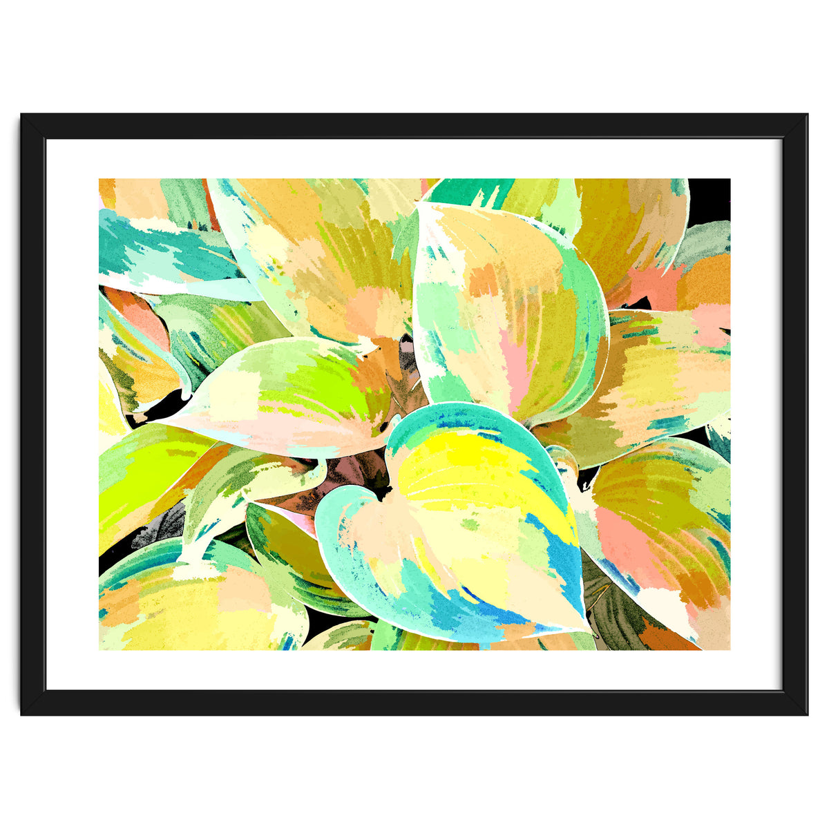 Tropical Leaves