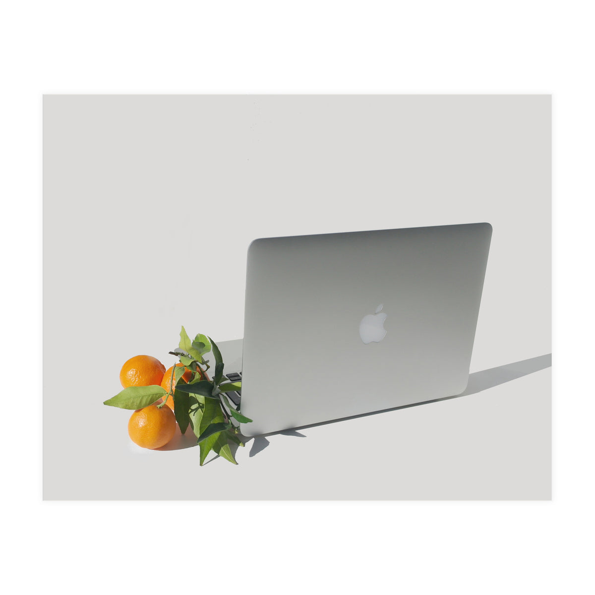 Fruit Salad (Print Only)