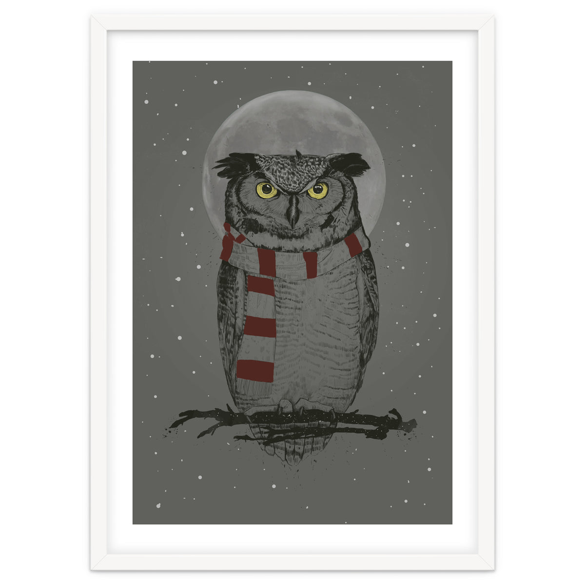 Winter Owl