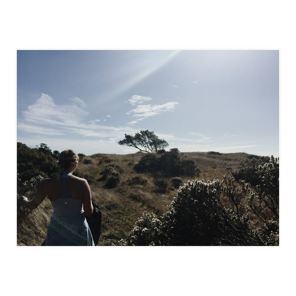 Mt. Tamalpais (Print Only)
