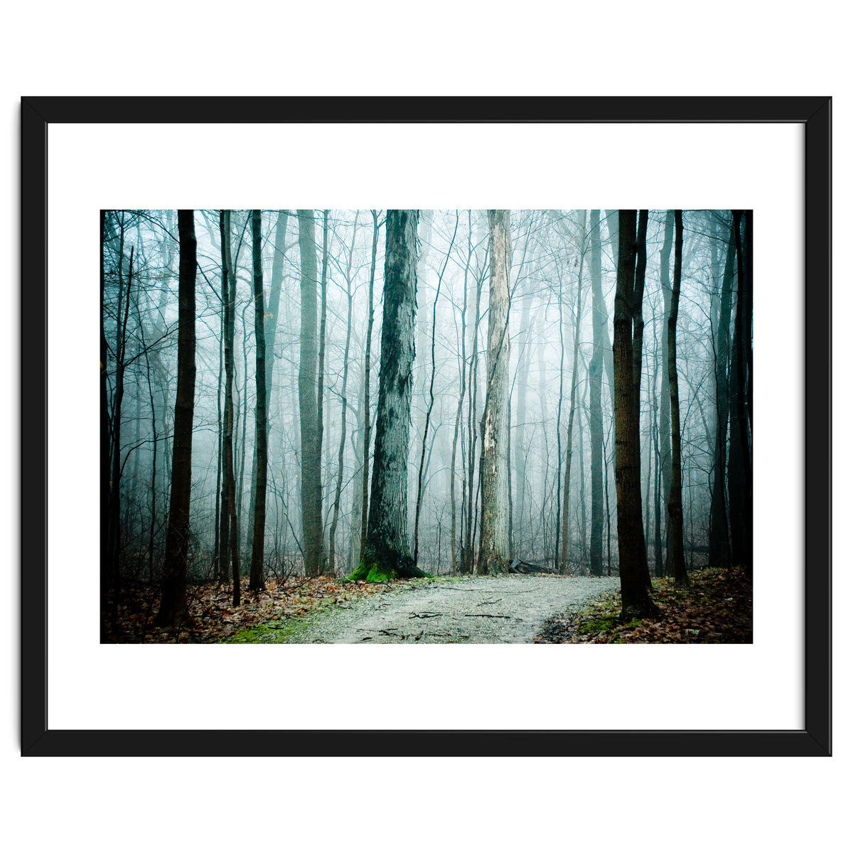 Gather Up Your Dreams