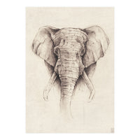 Elephant (Print Only)