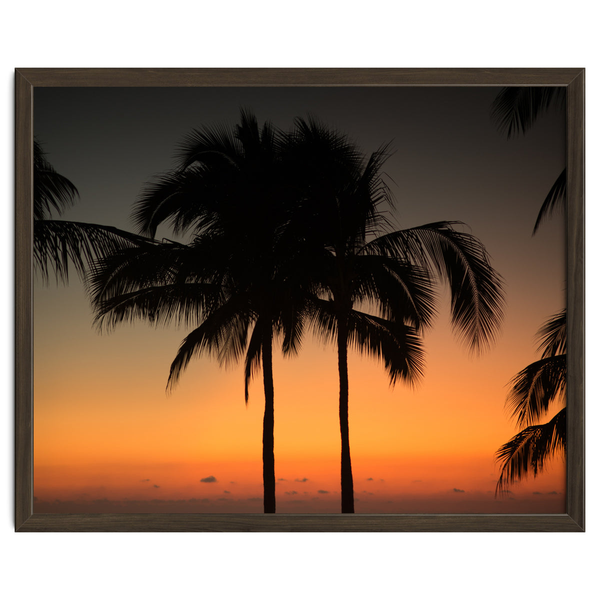 Mexico, November nights