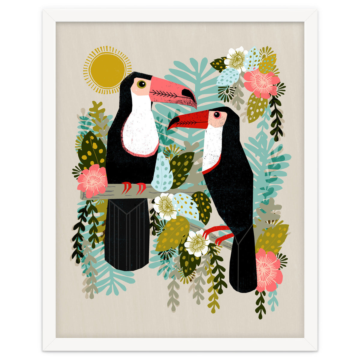 Toucans