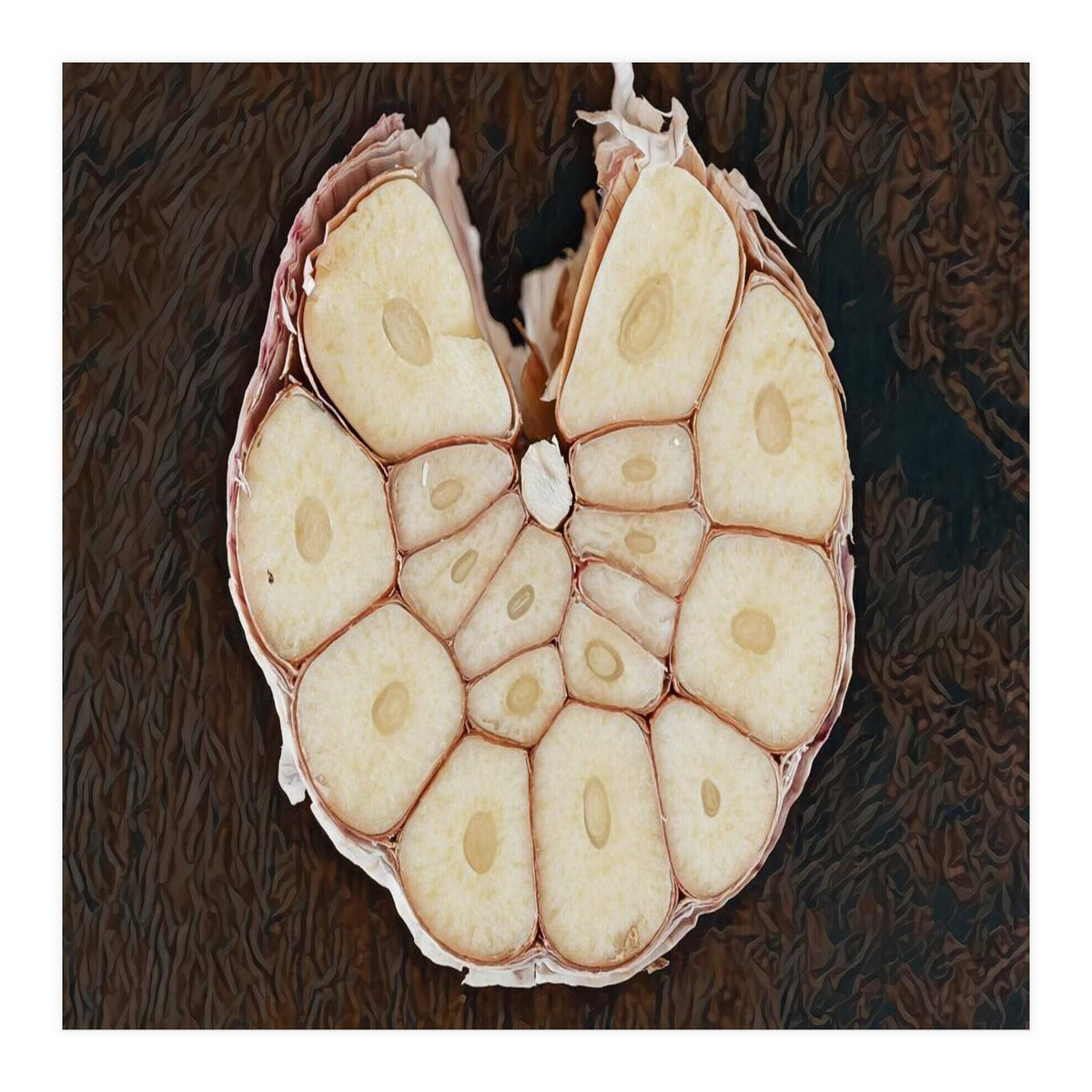 Garlic Italian Cuisine (Print Only)