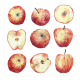 Apples (Print Only) thumbnail
