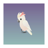 Salmon-crested cockatoo (Print Only) thumbnail