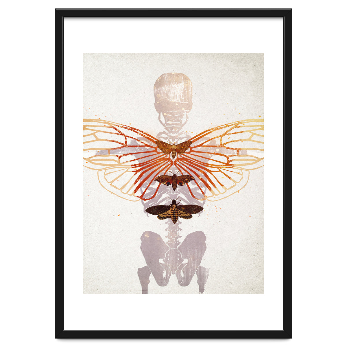 Ikarus - Like a Moth to the Flame