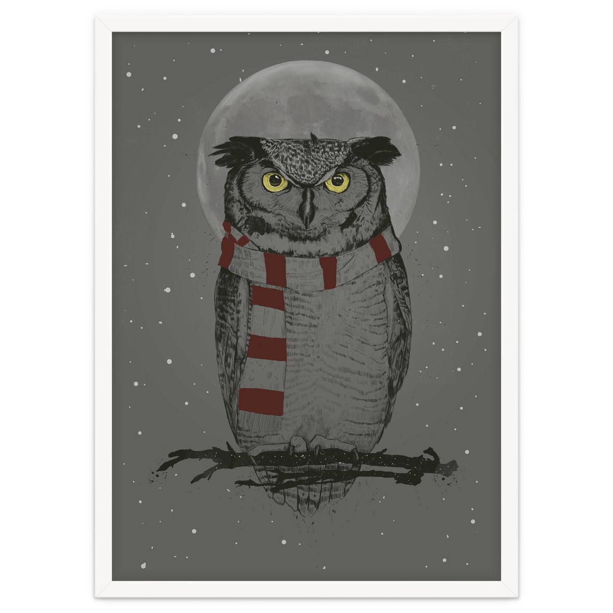 Winter Owl