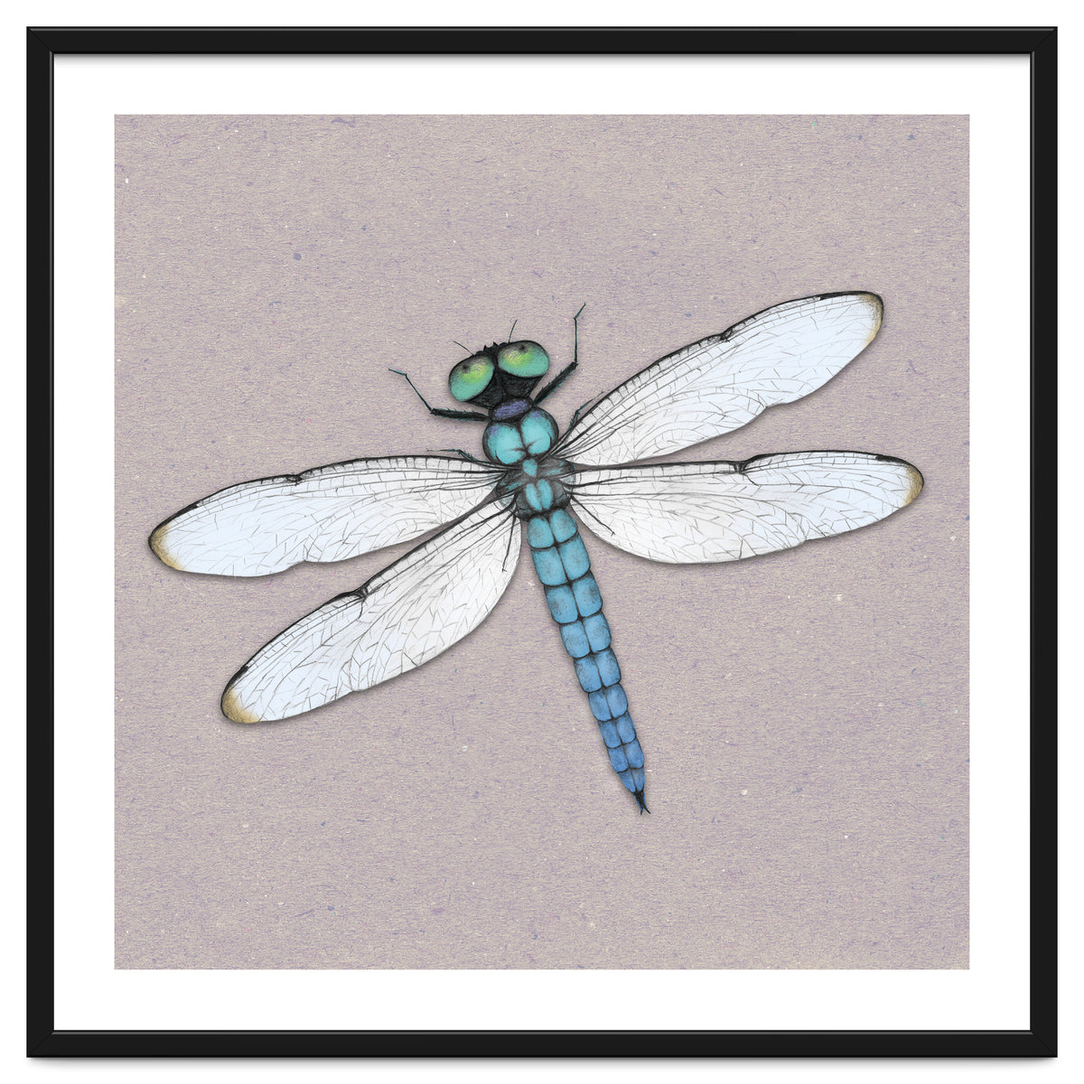 Blue dragonfly