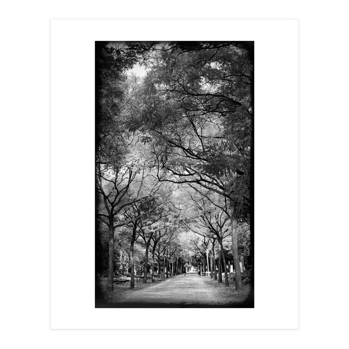 Cemetery alley (Print Only)
