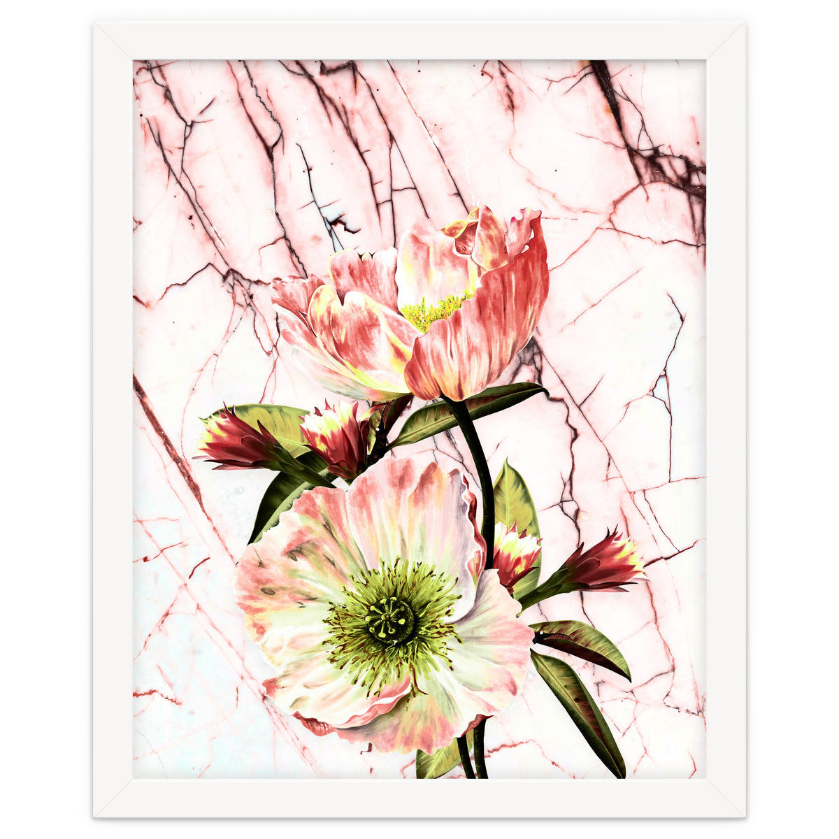 Flowering on pink marble