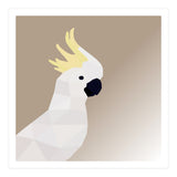 Cockatoo Bird Low Poly Art (Print Only) thumbnail