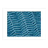 Pteridopsida 3 (Print Only) thumbnail