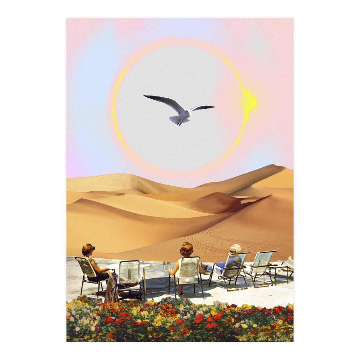 Birdwatching 2.0. (Print Only)