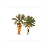 The Palms (Print Only) thumbnail