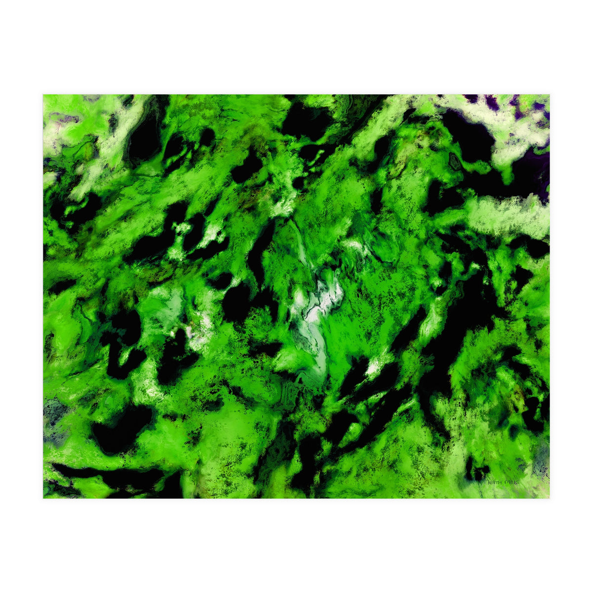 More Distinguishing Marks (Print Only)