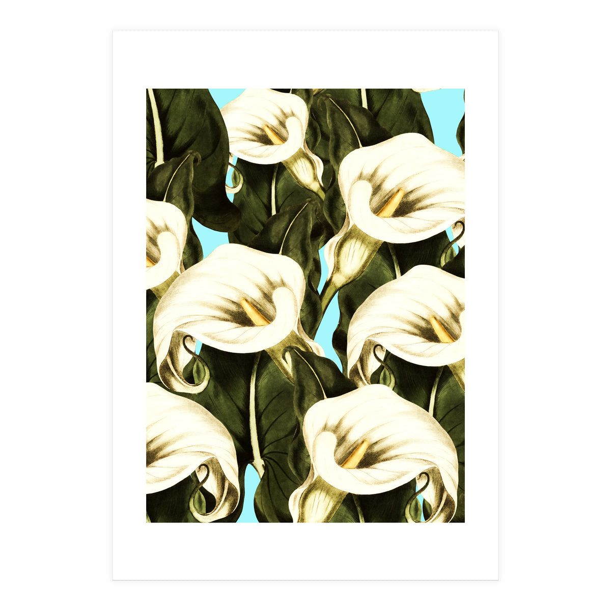 Pattern floral Ethiopian-Calla (Print Only)