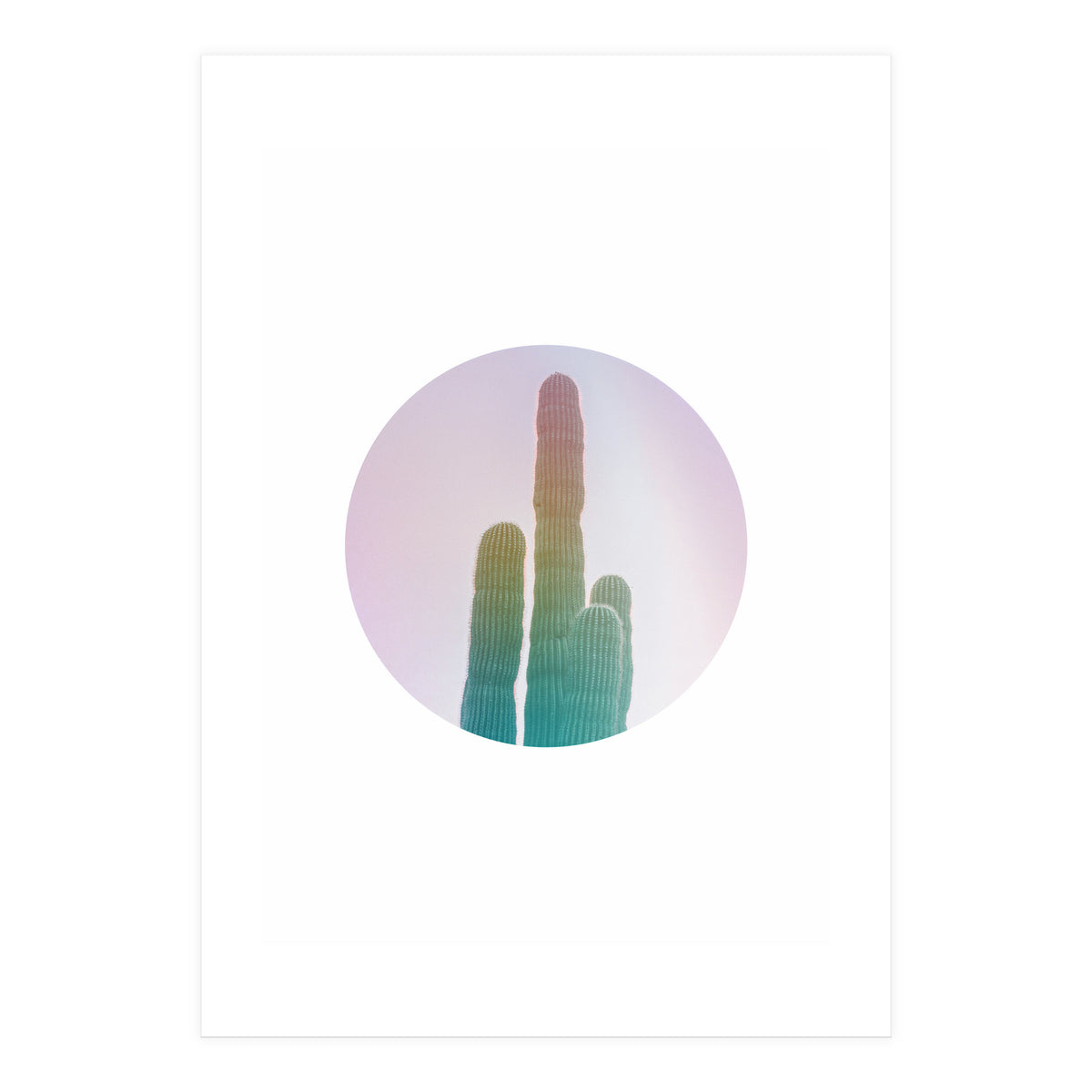Circular Cacti (Print Only)