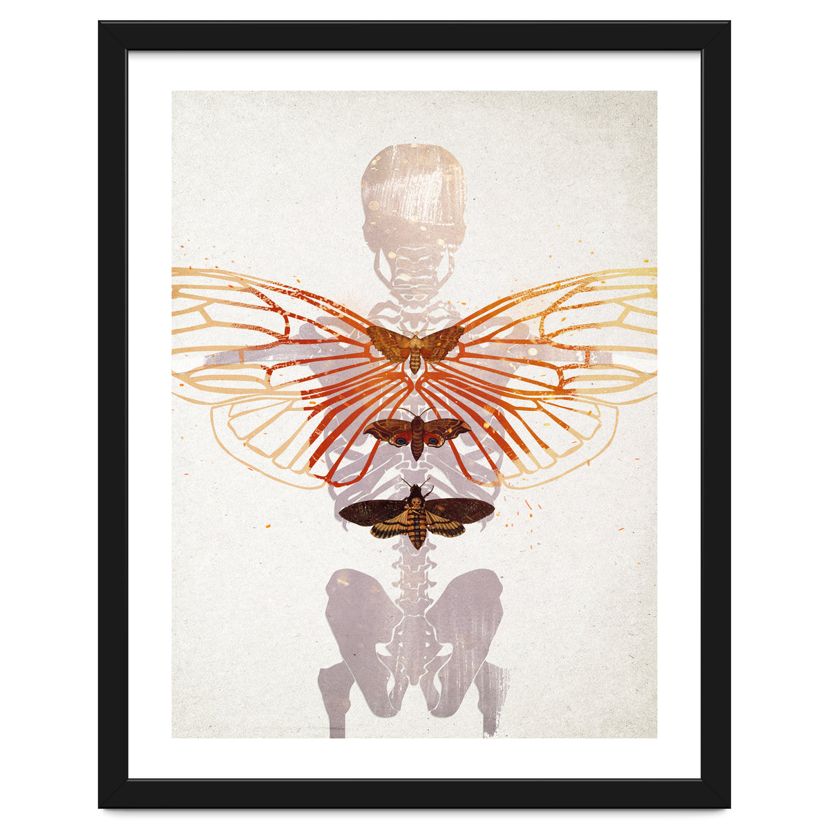 Ikarus - Like a Moth to the Flame