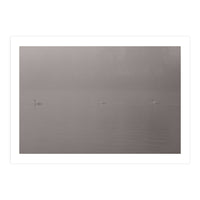 Swans in the mist (Print Only)