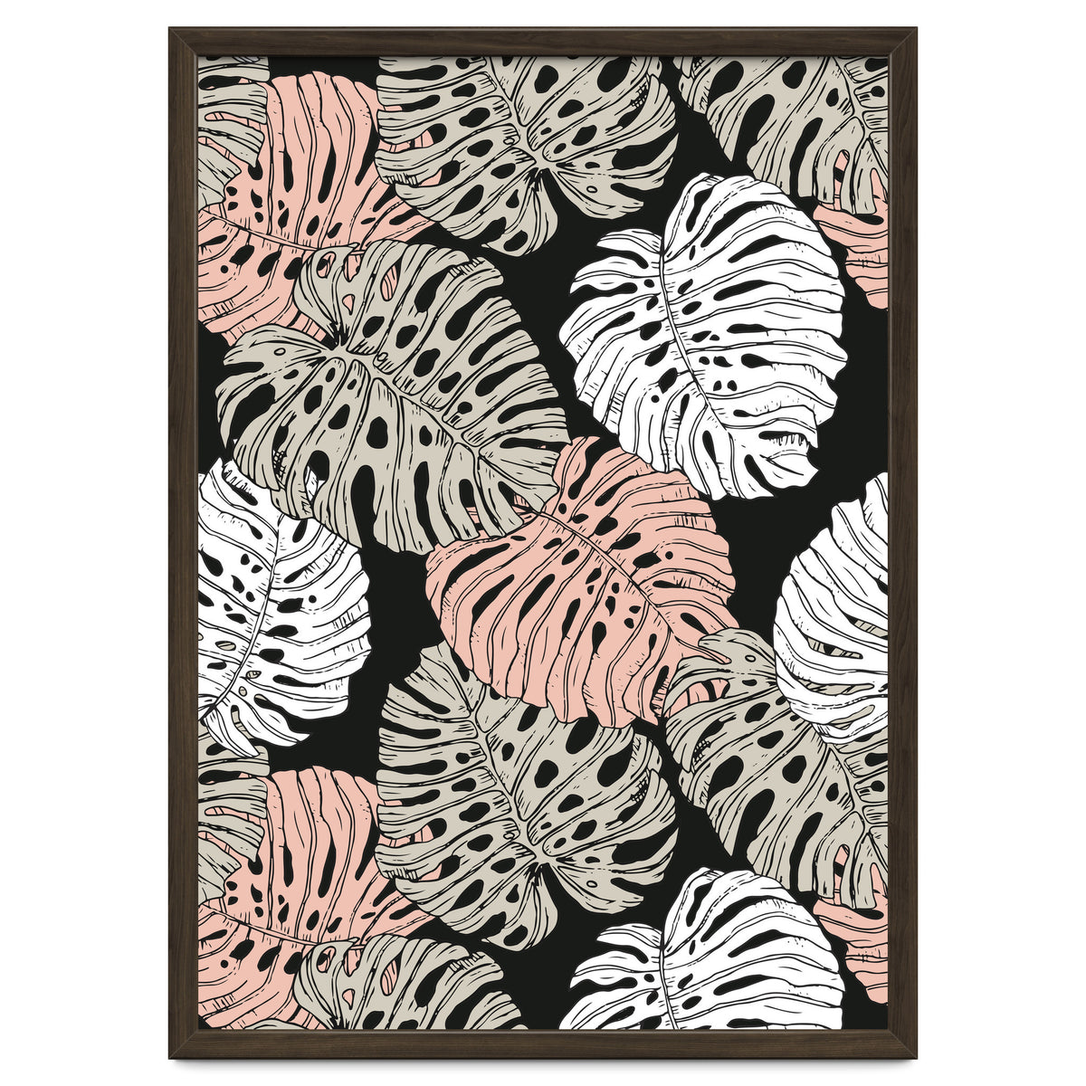 Monstera in the darkness of the jungle