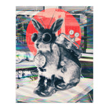 Time Traveller (Print Only) thumbnail