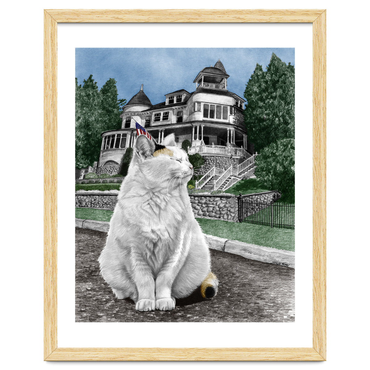 Mackinac Island Cat