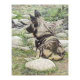 African Painted Dog I (Print Only) thumbnail