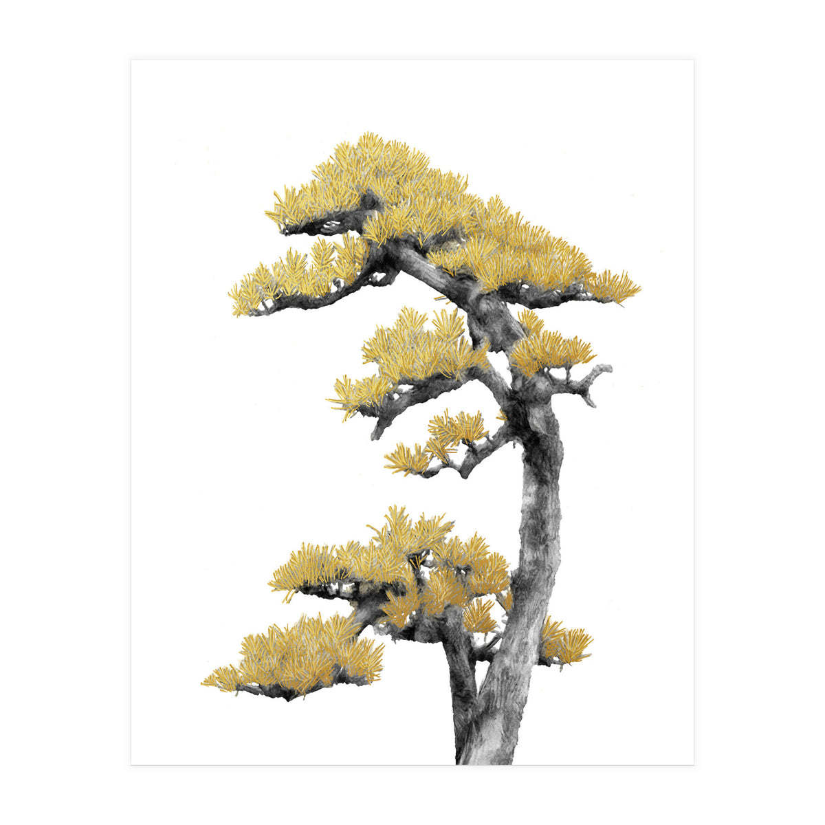 Bonsai Tree 04 (Print Only)