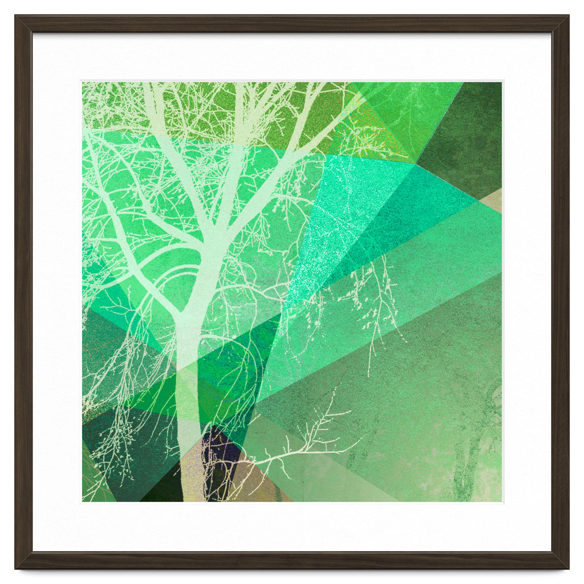 P22-B3 Trees And Triangles