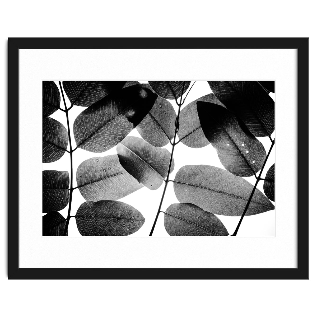 Experiments with Leaves II