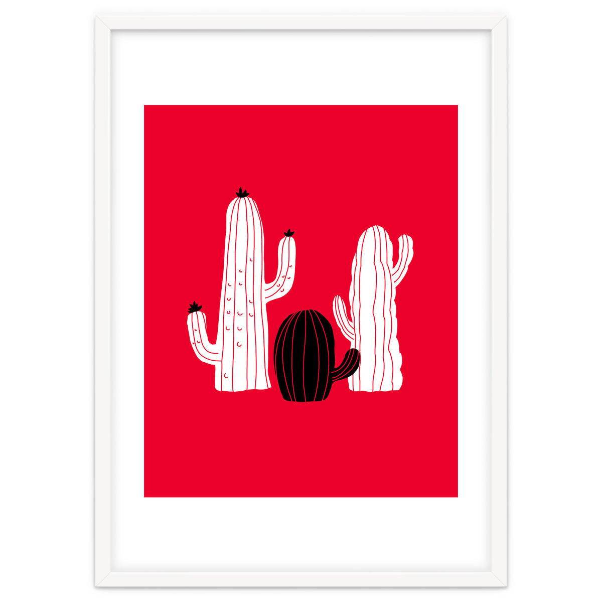 Cactus