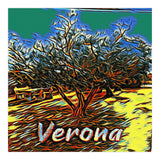 Colorful Olive tree in Verona, Italy. (Print Only) thumbnail