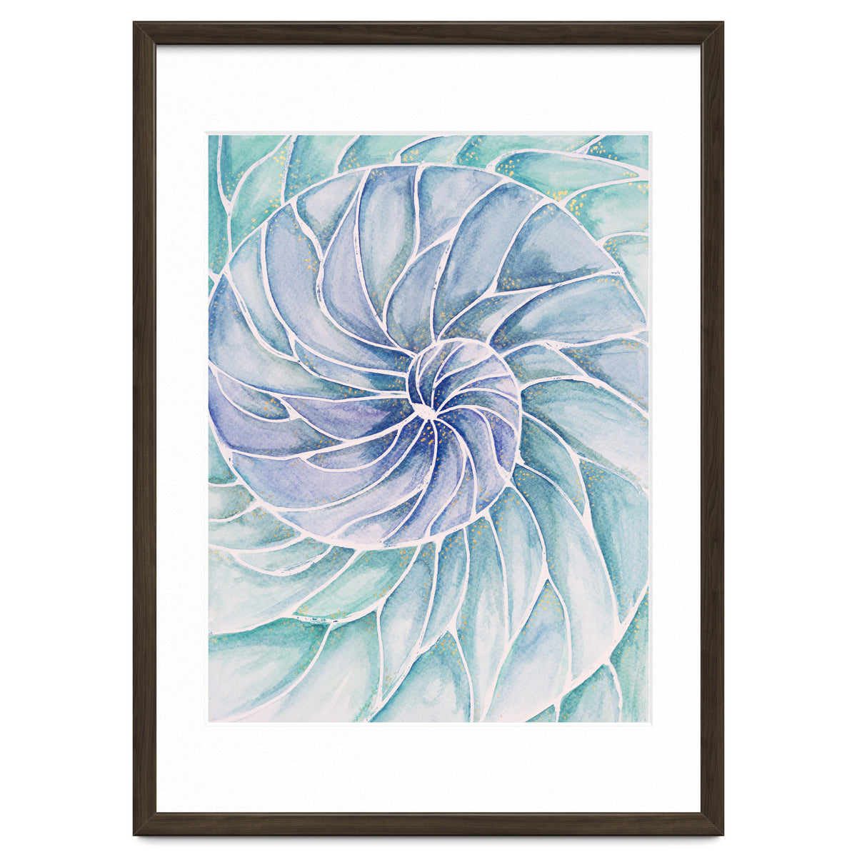 The inside of a shell