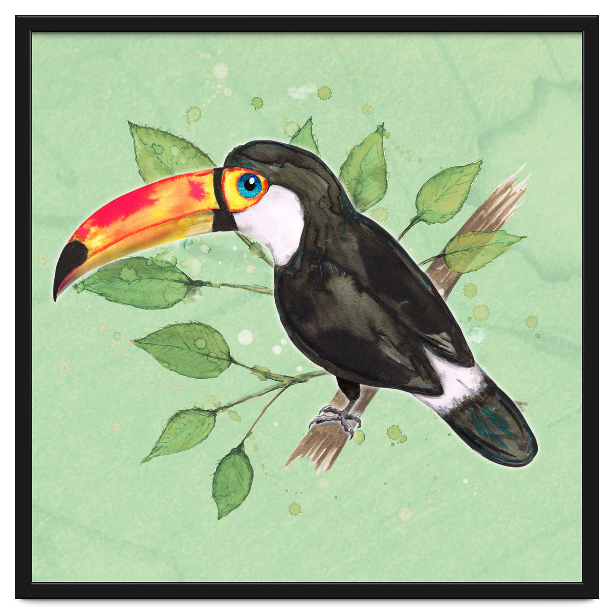 Toco toucan
