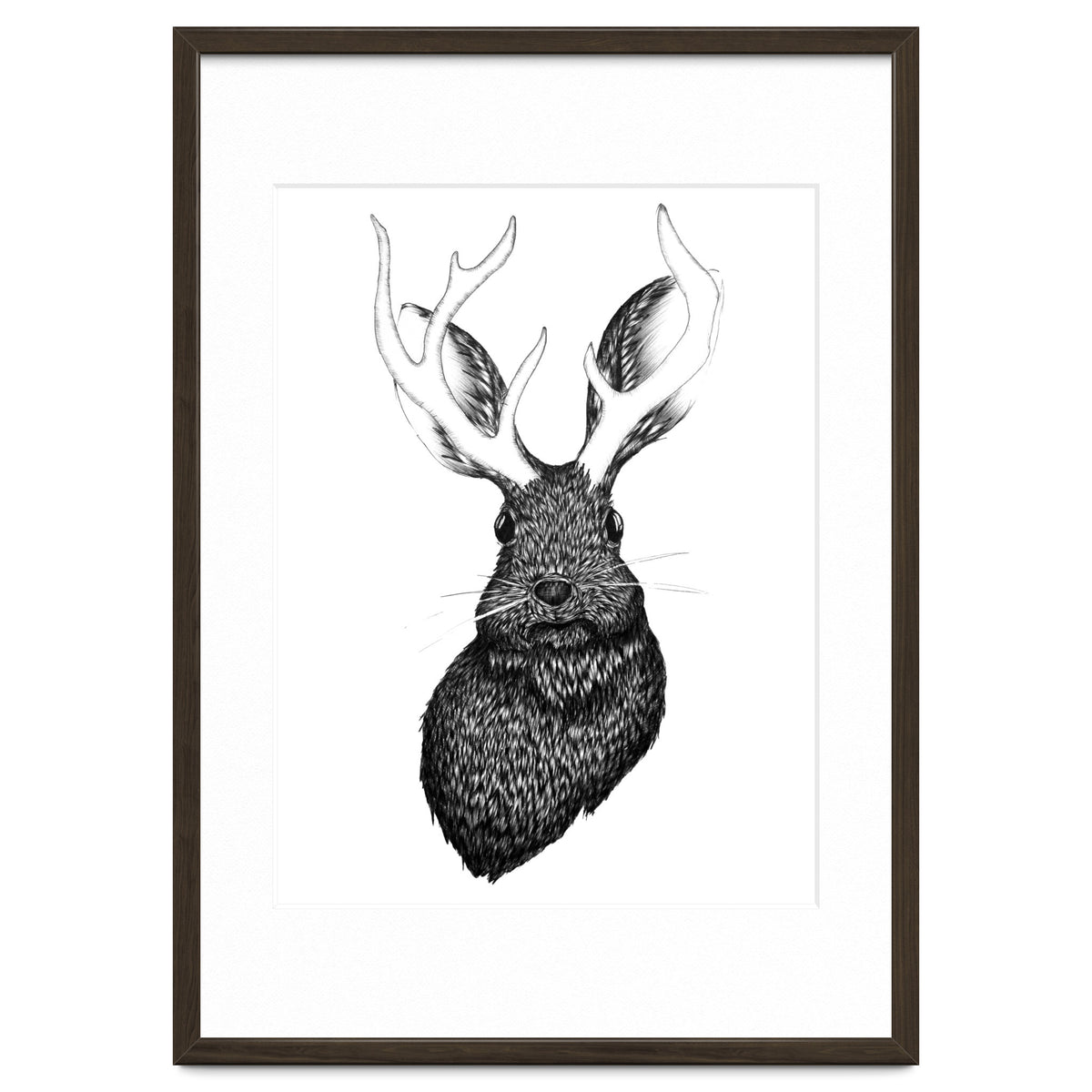 Jackalope
