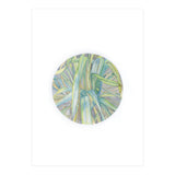 Grasses In The Late Summer Light (Print Only) thumbnail