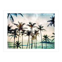 No Palm Trees (Print Only)